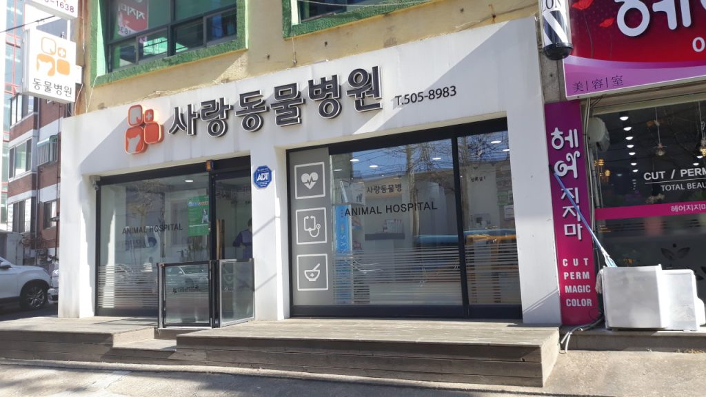 사랑동물병원 사진 1