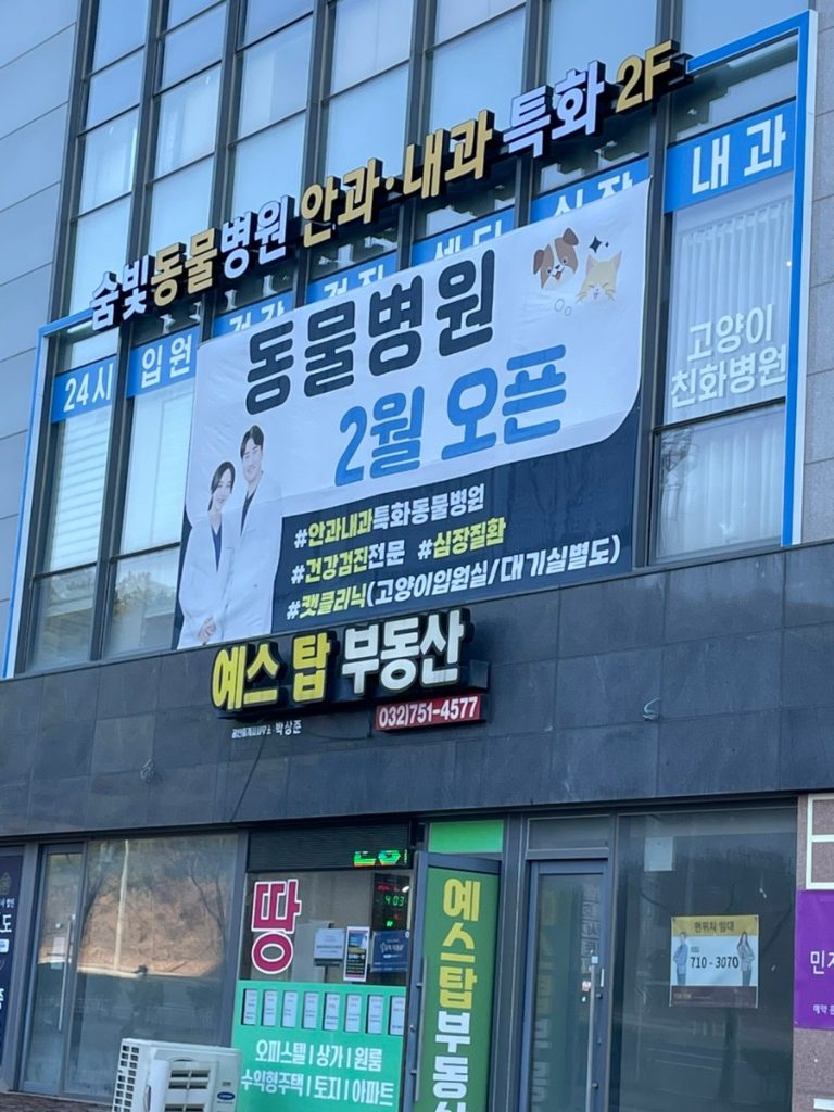 숨빛동물병원 사진 1