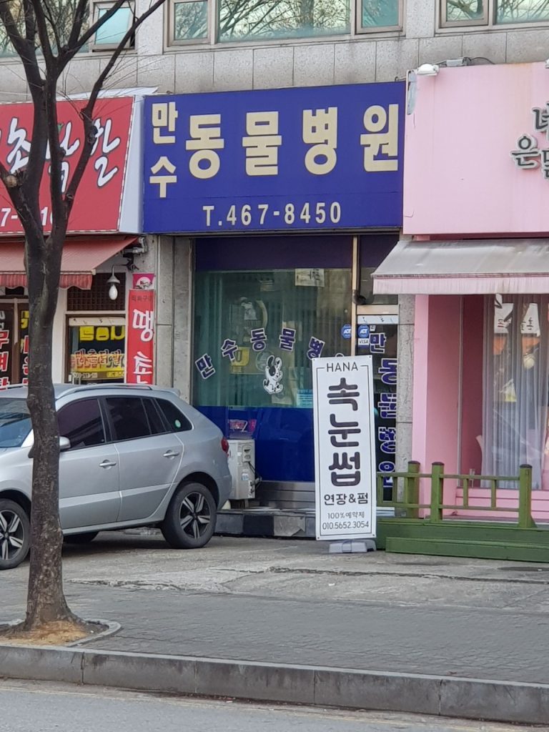 만수동물병원 사진 1