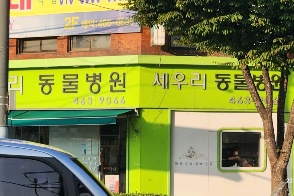 세우리동물병원 사진 1