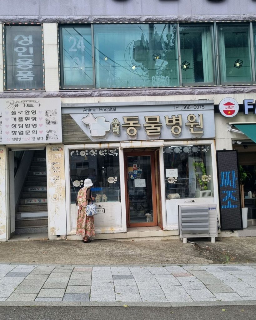 우리동물병원 사진 1