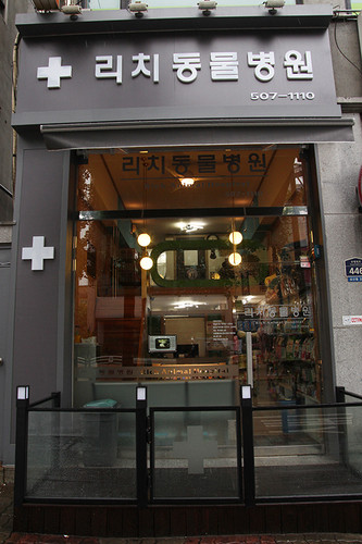 리치동물병원 사진 1