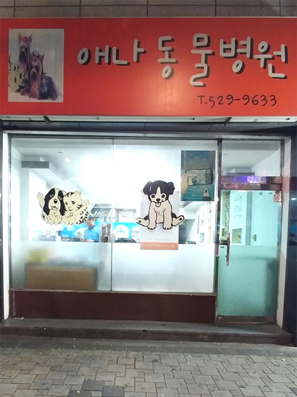 애나동물병원 사진 1