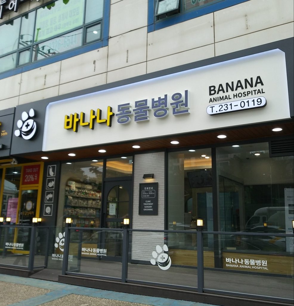 바나나동물병원 사진 1
