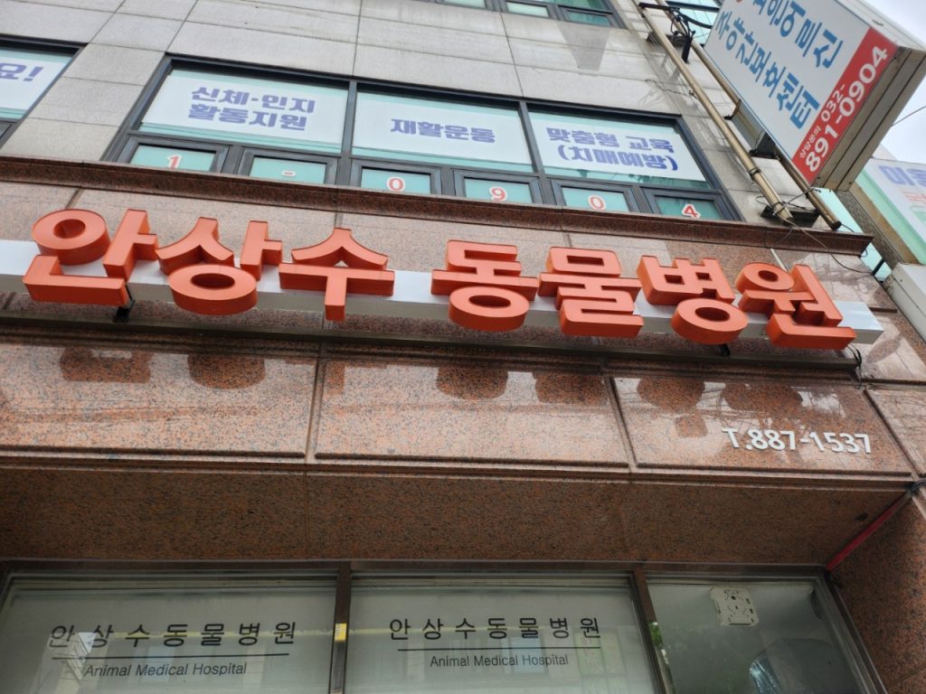 안상수동물병원 사진 1