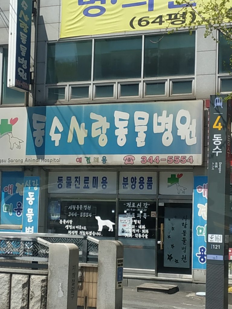 동수사랑동물병원 사진 1