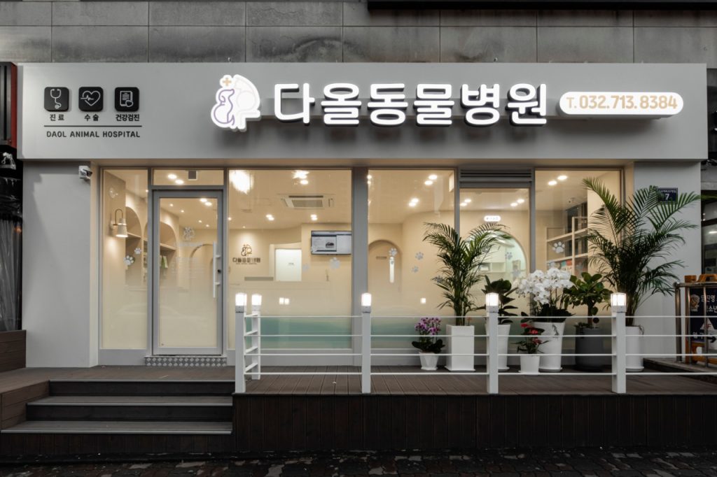 다올동물병원 사진 1