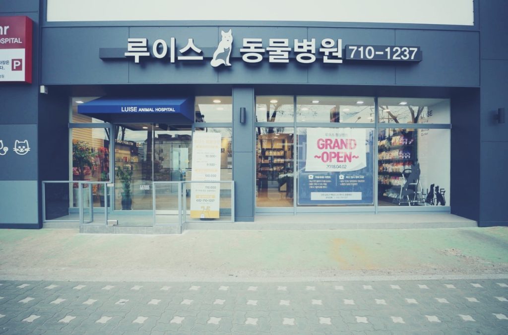 루이스 24시 동물병원 사진 1