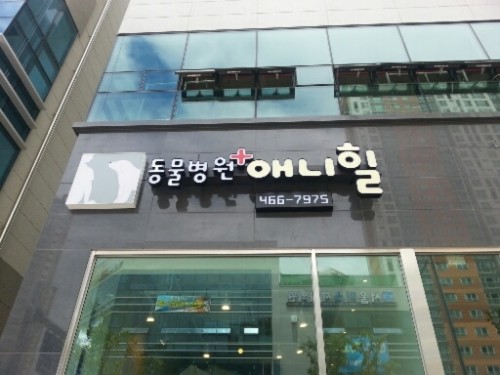애니힐동물병원 사진 1