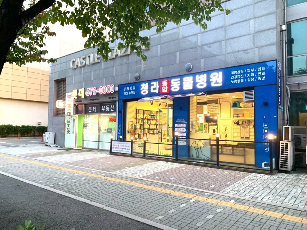 청라종합동물병원 사진 1