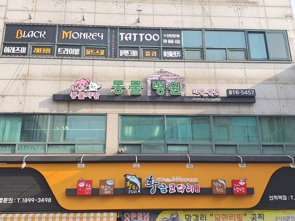 동물사랑동물병원 사진 1