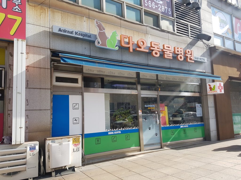 다오동물병원 사진 1