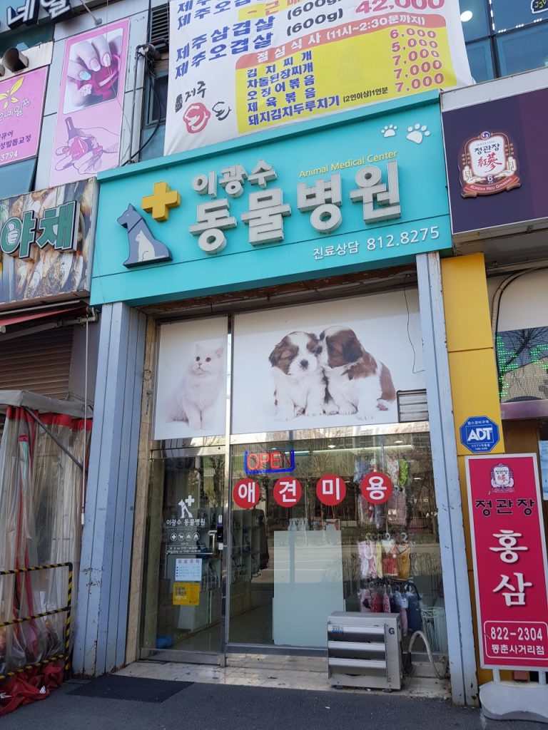 이광수동물병원 사진 1