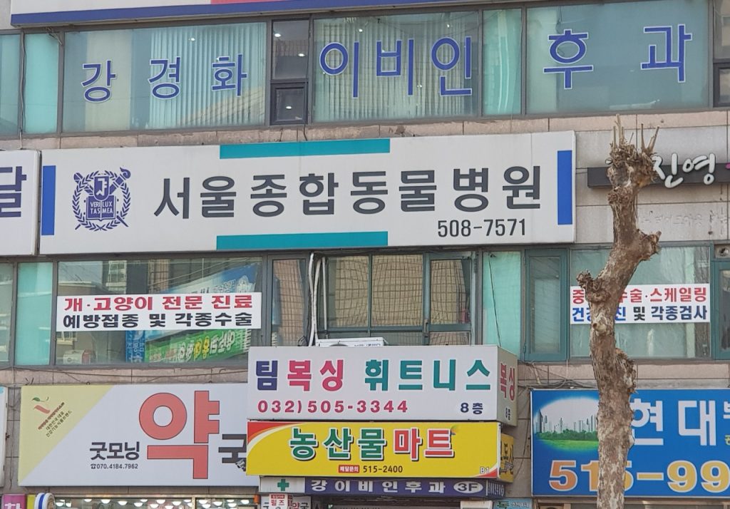 서울종합동물병원 사진 1