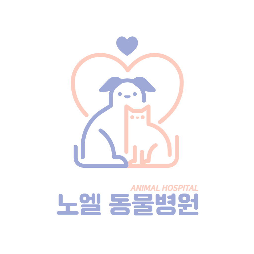 노엘동물병원 사진 1