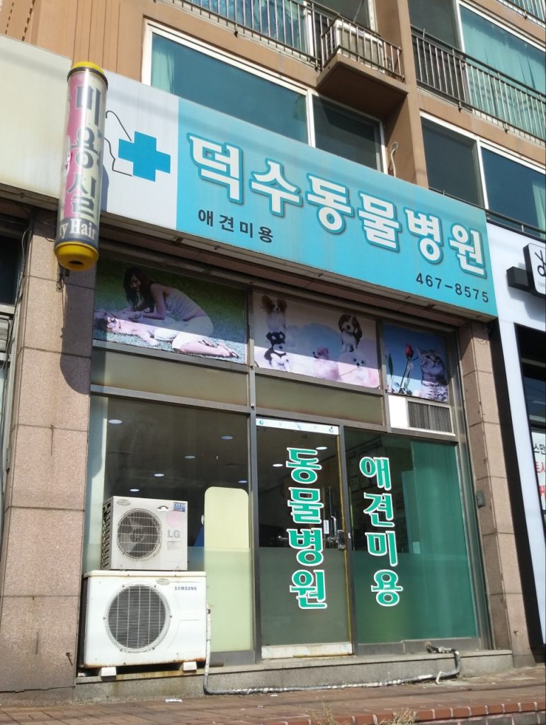 덕수동물병원 사진 1