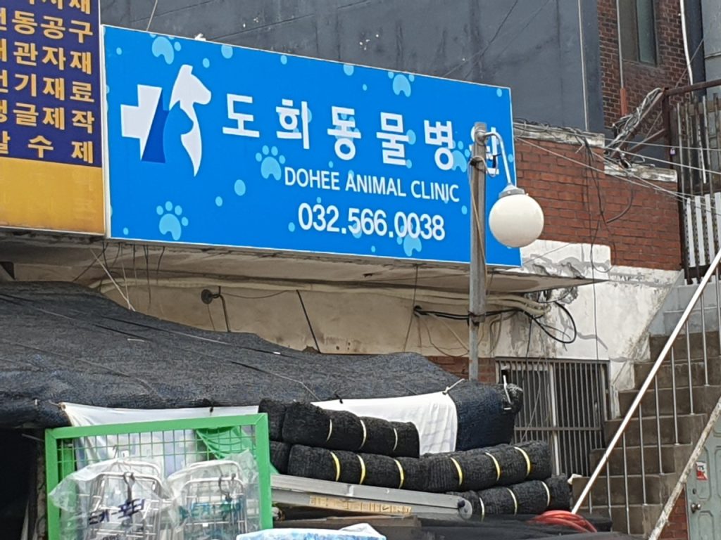 도희동물병원 사진 1