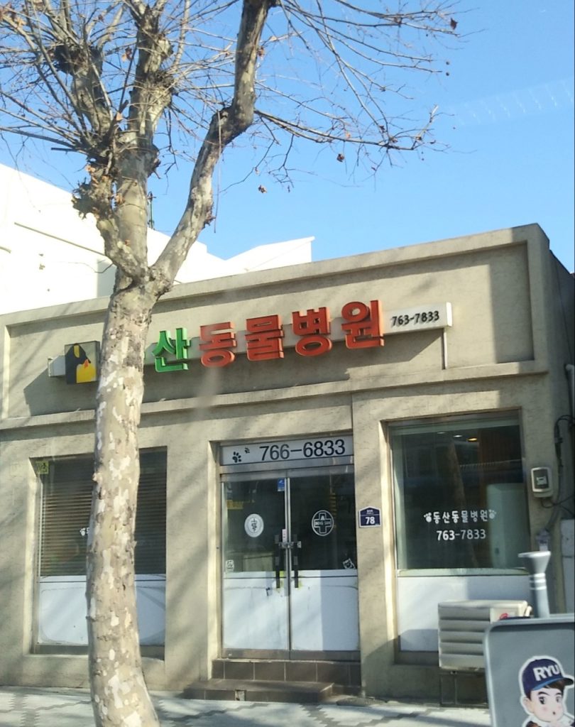 동산동물병원 사진 1