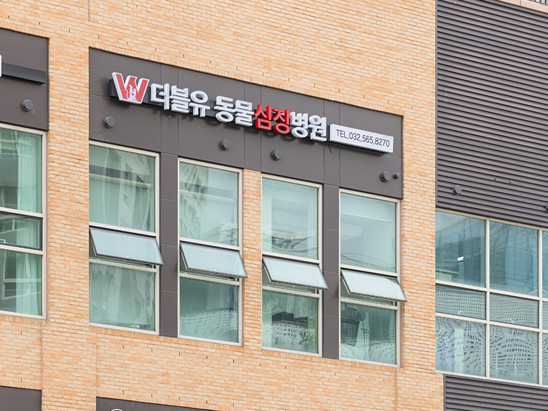 더블유동물심장병원 사진 1