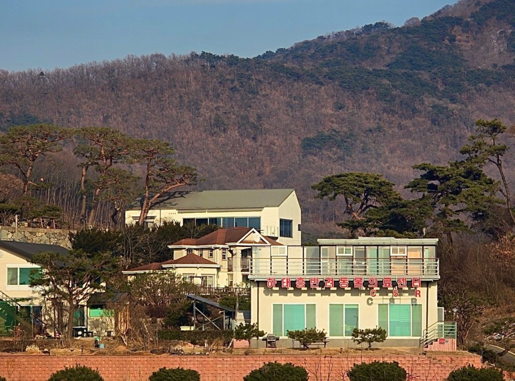 하태흥 반려동물의료센터 CSR 사진 1