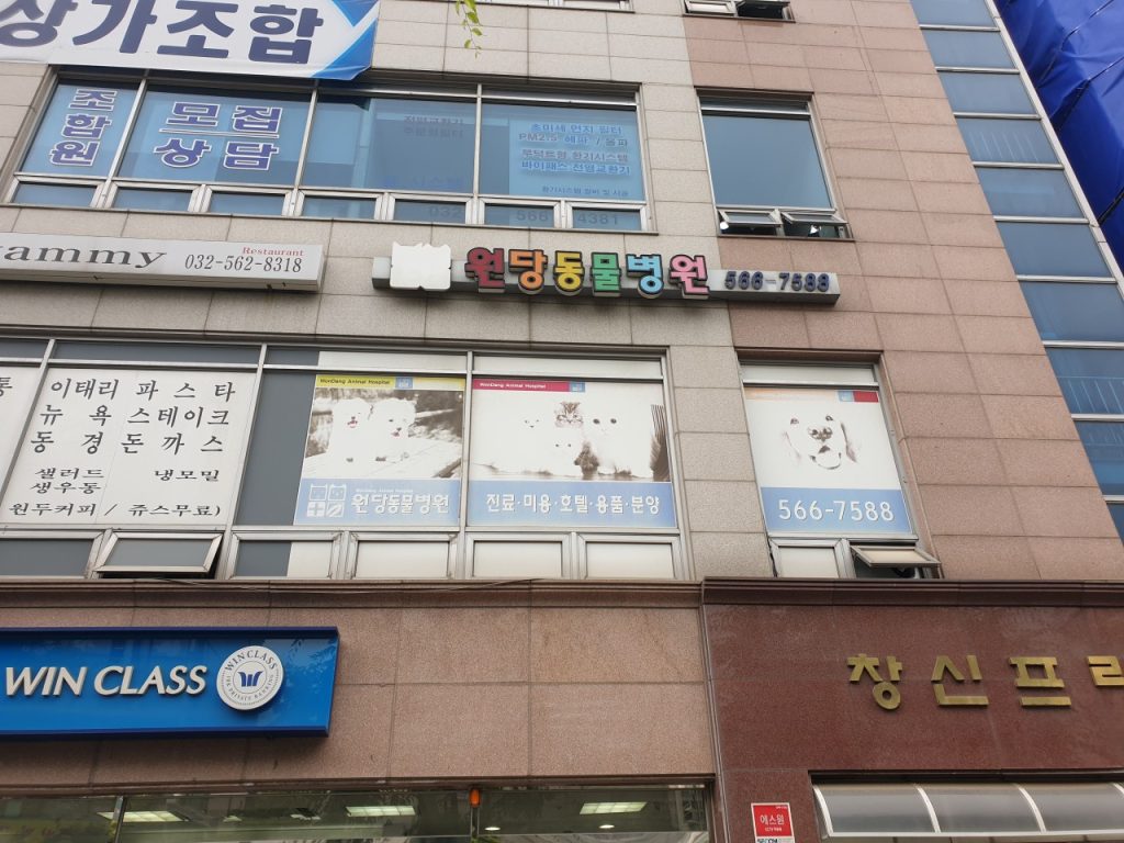원당동물병원 사진 1