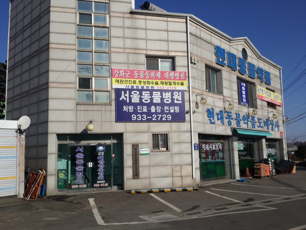 서울동물병원 사진 1