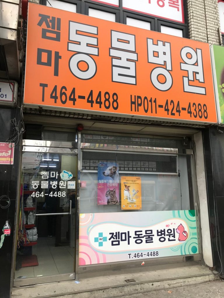 젬마동물병원 사진 1