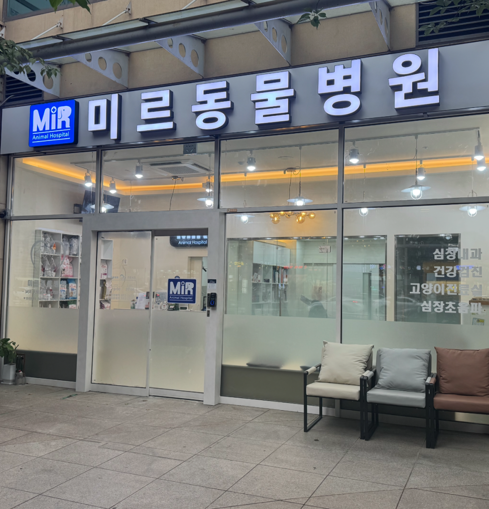 미르동물병원 사진 1