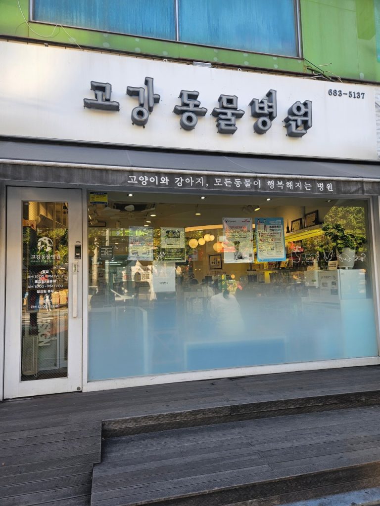 고강동물병원 사진 1