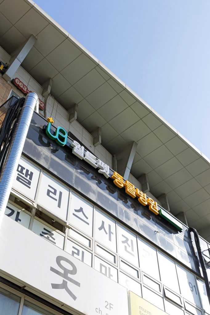 월드펫동물병원 사진 1
