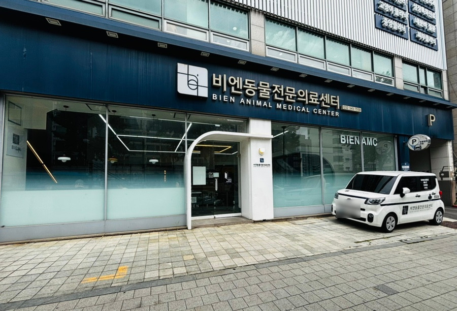 비엔동물전문의료센터 사진 1