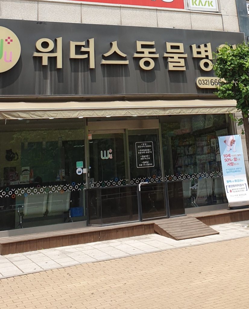 위더스동물병원 사진 1