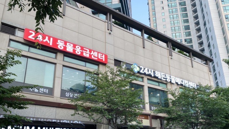 24시 해든동물메디컬센터 사진 1