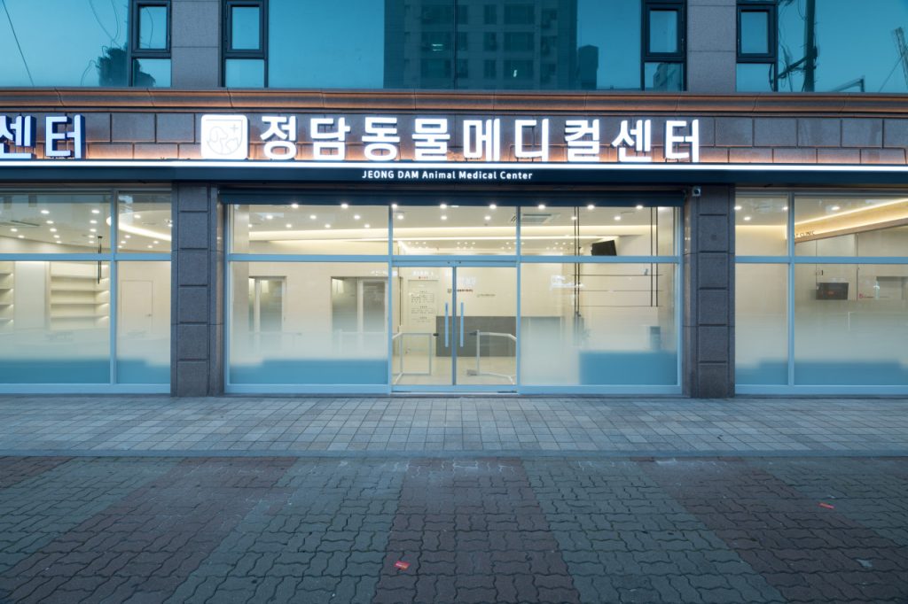 정담동물메디컬센터 사진 1