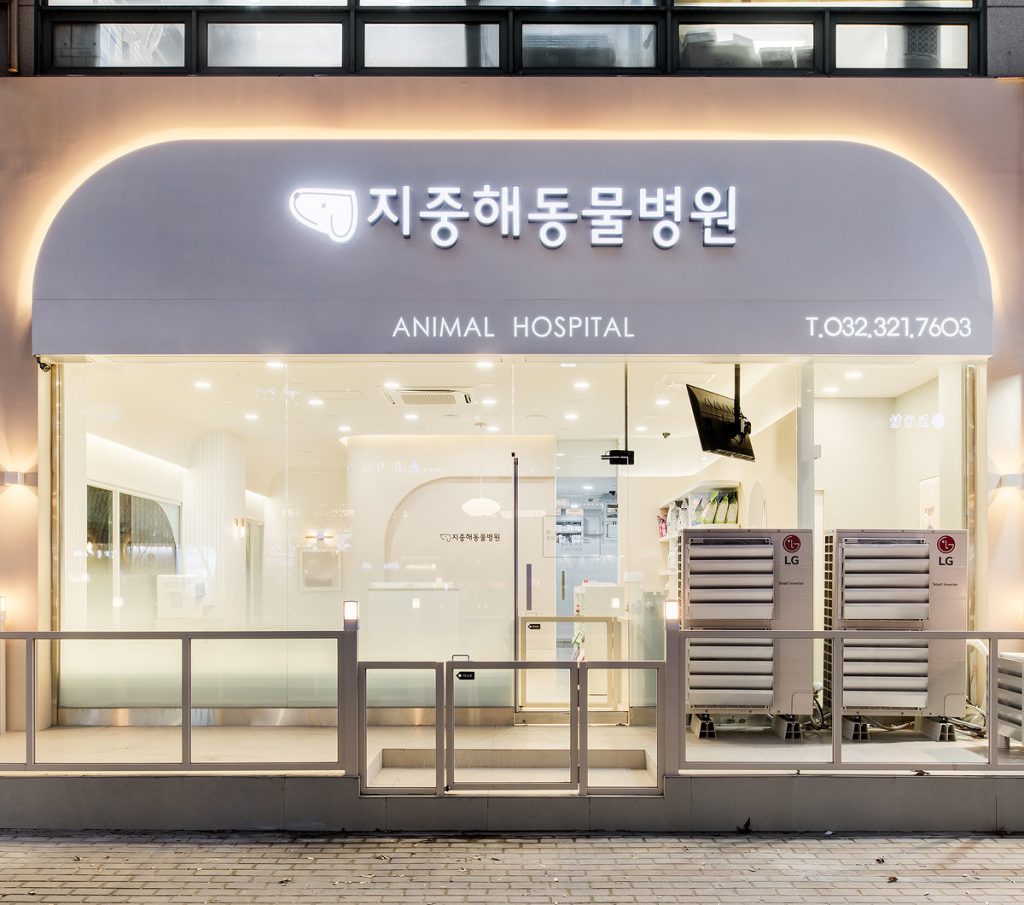 지중해동물병원 사진 1