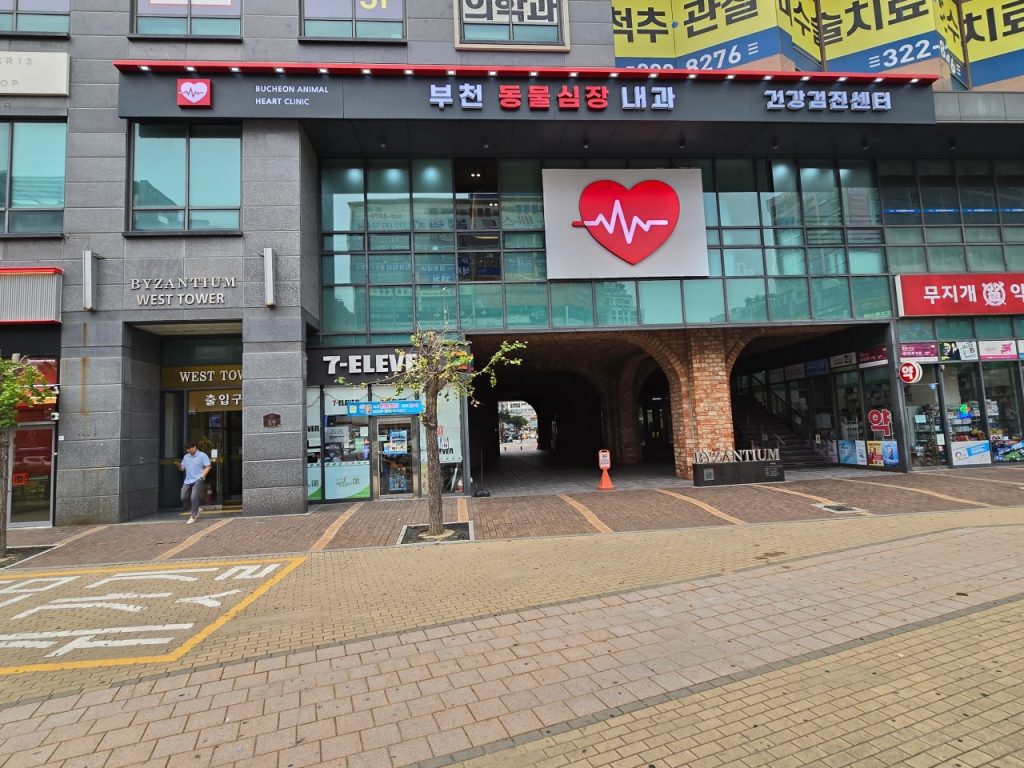 부천동물심장내과 건강검진센터 사진 1