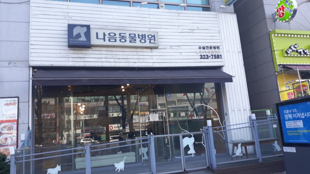 나음동물병원 사진 1
