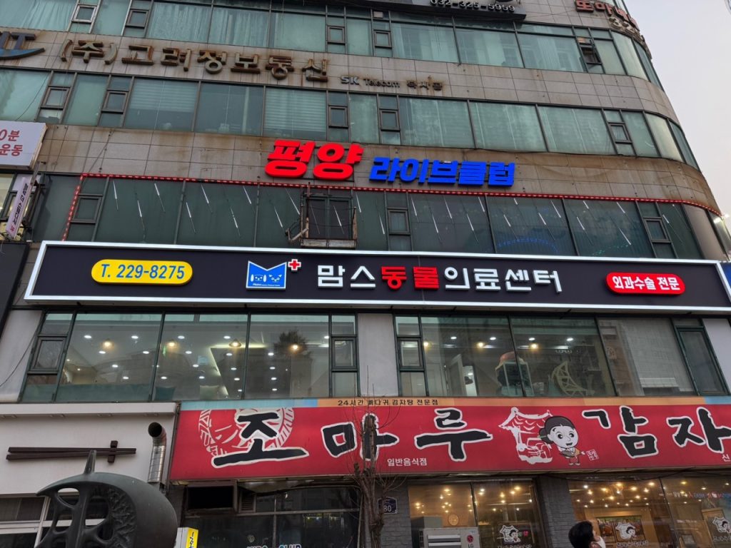 맘스동물의료센터 사진 1
