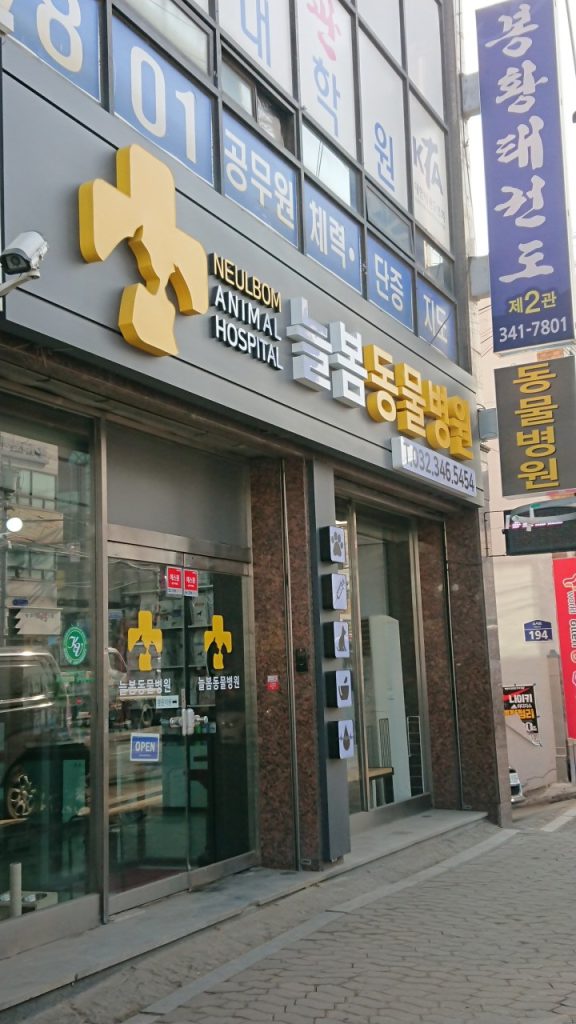 늘봄동물병원 사진 1
