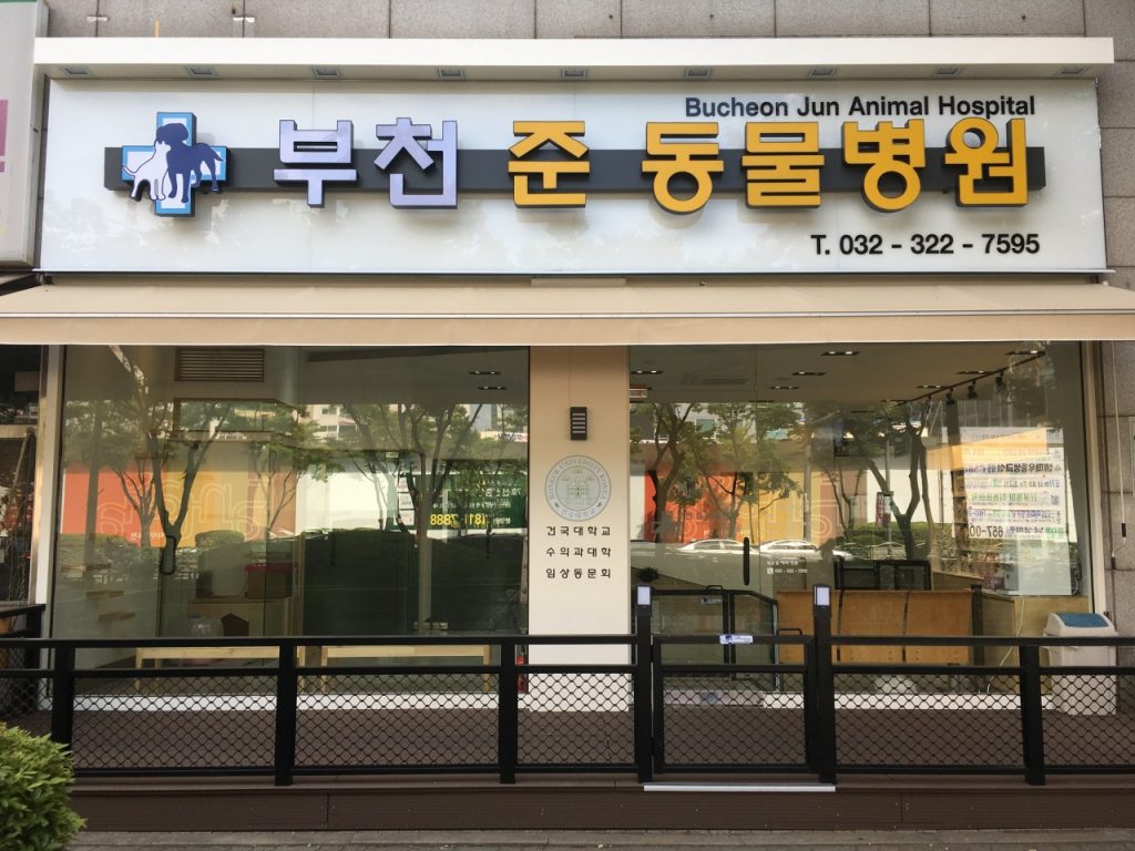 부천 준동물병원 사진 1