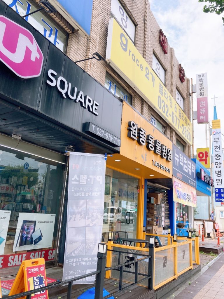 원종동물병원 사진 1