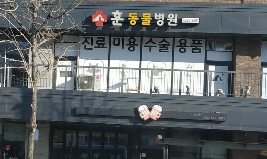 훈동물병원 사진 1