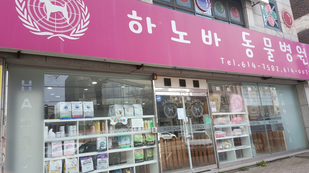 하노바동물병원 사진 1