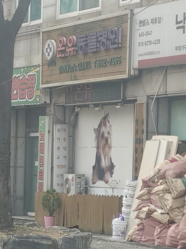 온유동물병원 사진 1