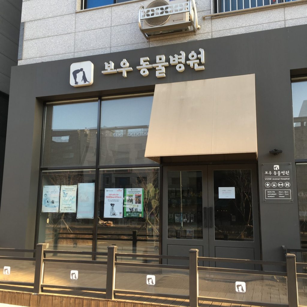 보우동물병원 사진 1