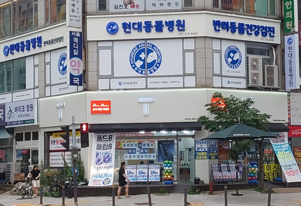 현대동물병원 사진 1