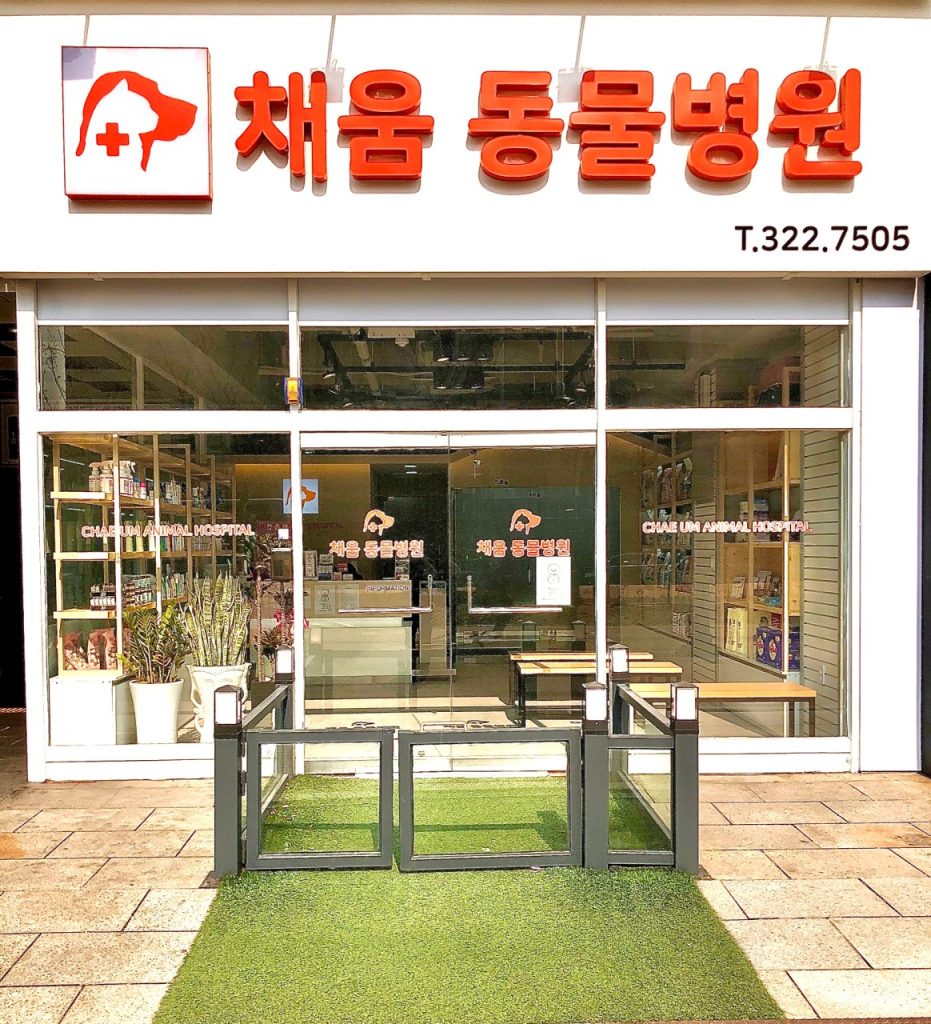 채움동물병원 사진 1