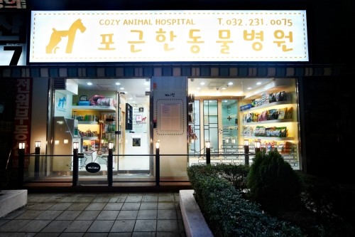 포근한동물병원 사진 1