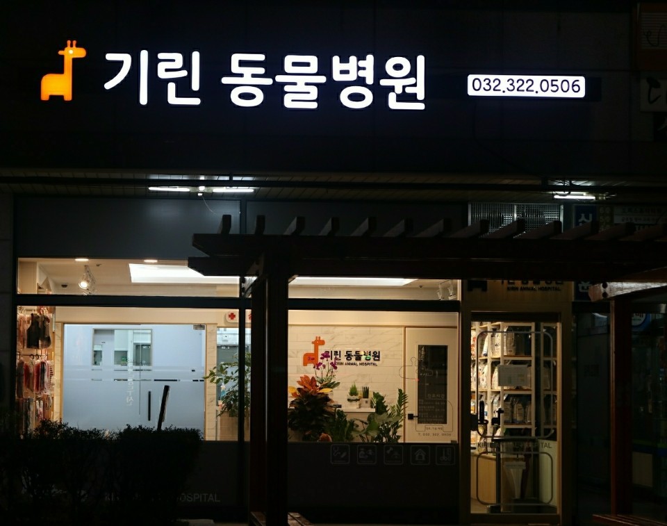 기린동물병원 사진 1