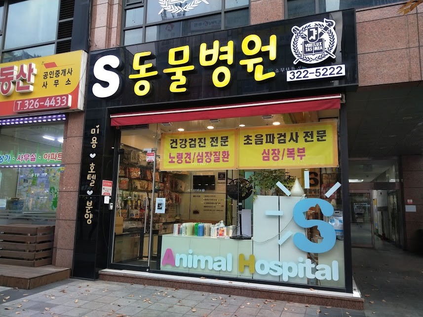 S동물병원 사진 1